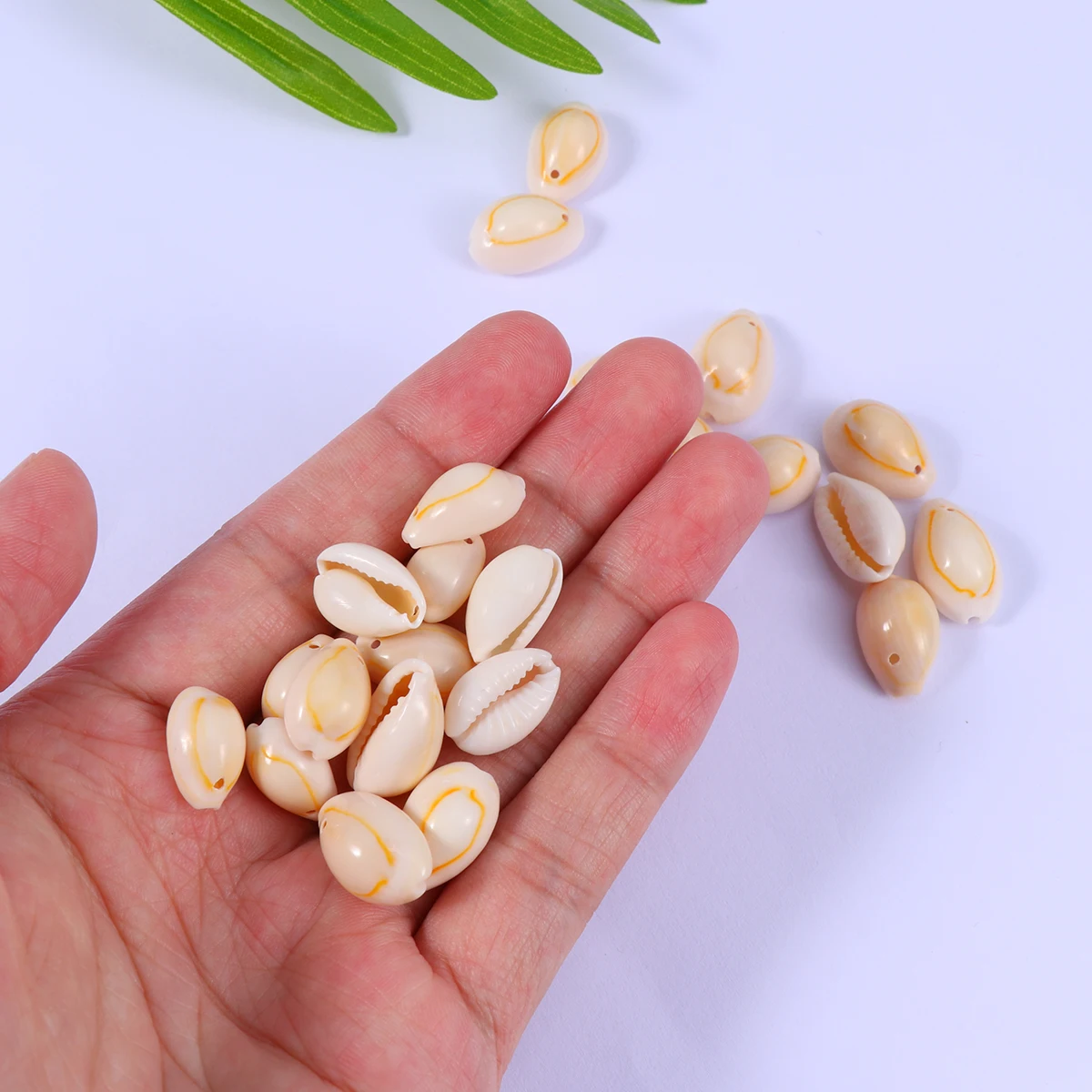 150pcs Slotted Conch Ornaments Shell Jewelry Accessories Diy Earrings Necklace Wind Chime Keychain Pendant Decor Sea Style Craft
150pcs Slotted Conch Ornaments Shell Jewelry Accessories Diy Earrings Necklace Wind Chime Keychain Pendant Decor Sea Style Craft