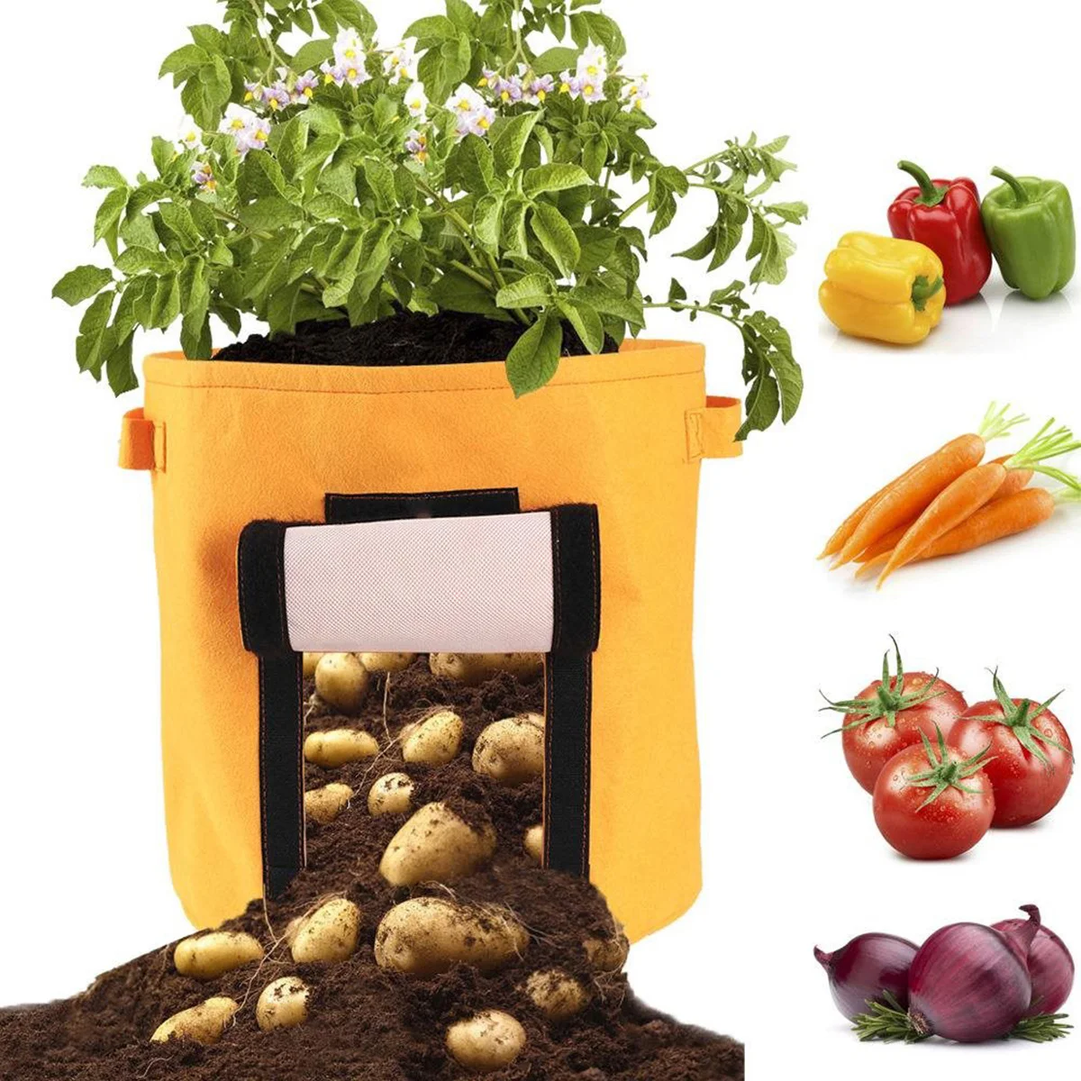 Potato Planting Bag Thick Non-Woven Fabric Grow Bags With Window Harvest Flap For Potatoes Carrots Onions Radish Taro
Potato Planting Bag Thick Non-Woven Fabric Grow Bags With Window Harvest Flap For Potatoes Carrots Onions Radish Taro