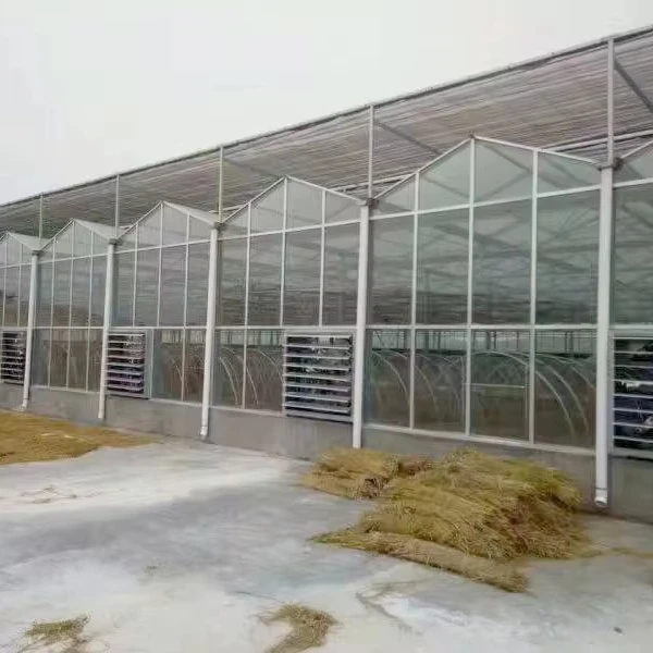 Customized greenhouseTempered Glass Greenhouse with Hydroponic System - Automated Climate Control for Commercial Vegetable Growi
Customized greenhouseTempered Glass Greenhouse with Hydroponic System - Automated Climate Control for Commercial Vegetable Growi