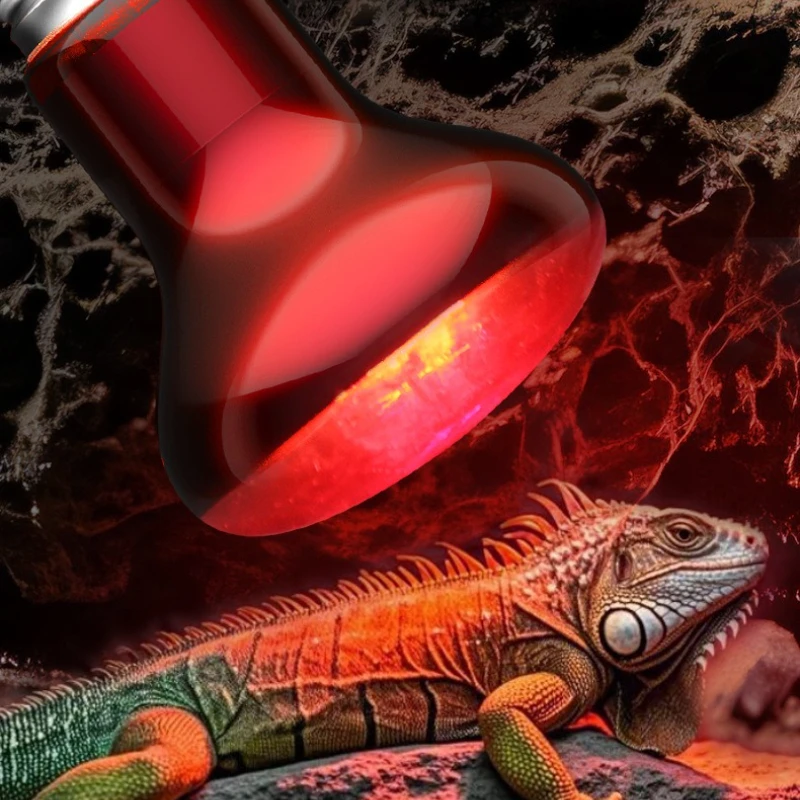 NOMOY Turtle Habitat Heater - Full Spectrum Infrared/UVA for Mating Season - Shatterproof Design with Adjustable Clamp
NOMOY Turtle Habitat Heater - Full Spectrum Infrared/UVA for Mating Season - Shatterproof Design with Adjustable Clamp