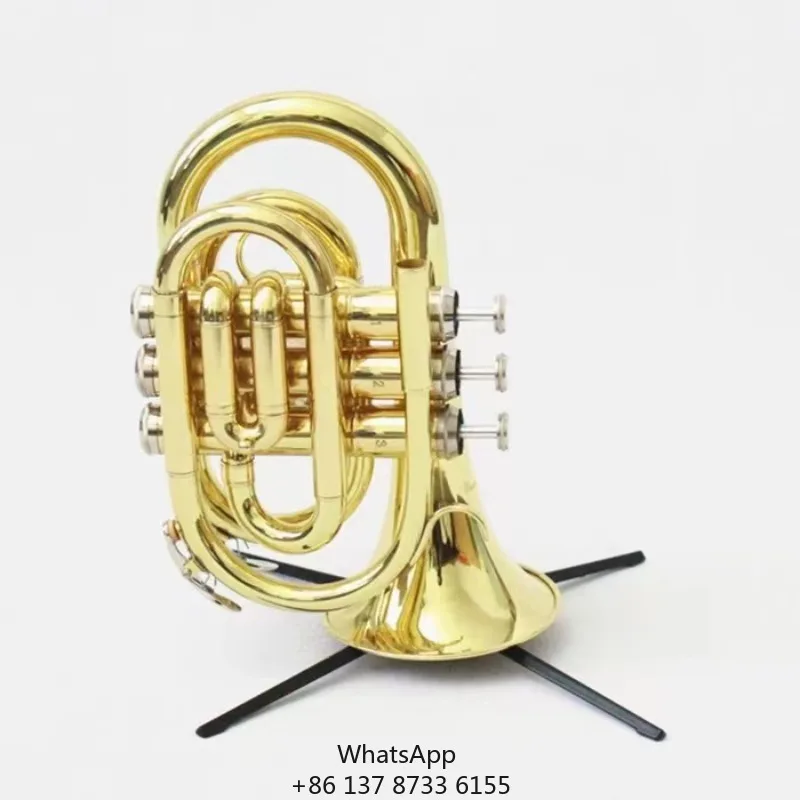 Wholesale Price Pocket Trumpet Brass Pocket Trumpet Instrument Gold Lacquered Trumpet
Wholesale Price Pocket Trumpet Brass Pocket Trumpet Instrument Gold Lacquered Trumpet