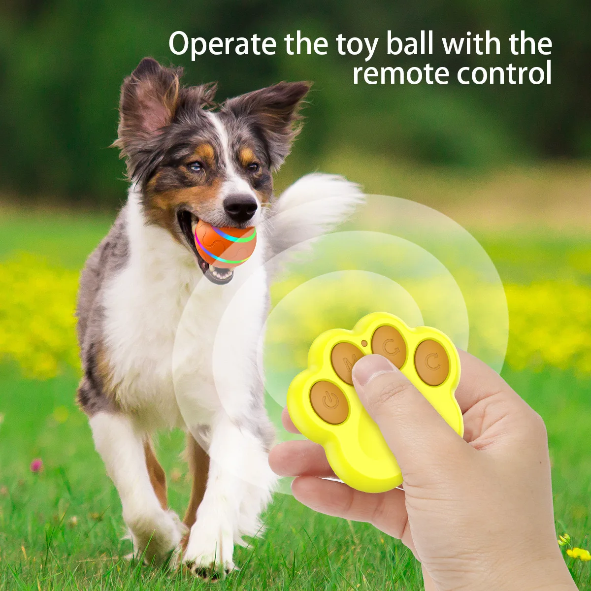 New Intelligent Jumping Dog Toy Ball Electric Anti Bite Cleaning Interactive Cat Toy Ball Pet Toys with Remote Control Supplies
New Intelligent Jumping Dog Toy Ball Electric Anti Bite Cleaning Interactive Cat Toy Ball Pet Toys with Remote Control Supplies
