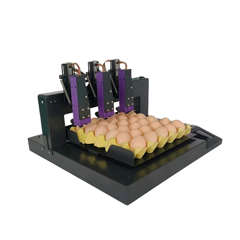 High Speed 3 Nozzles Egg Printer Egg Shell Expiry Date Marking Machine
High Speed 3 Nozzles Egg Printer Egg Shell Expiry Date Marking Machine