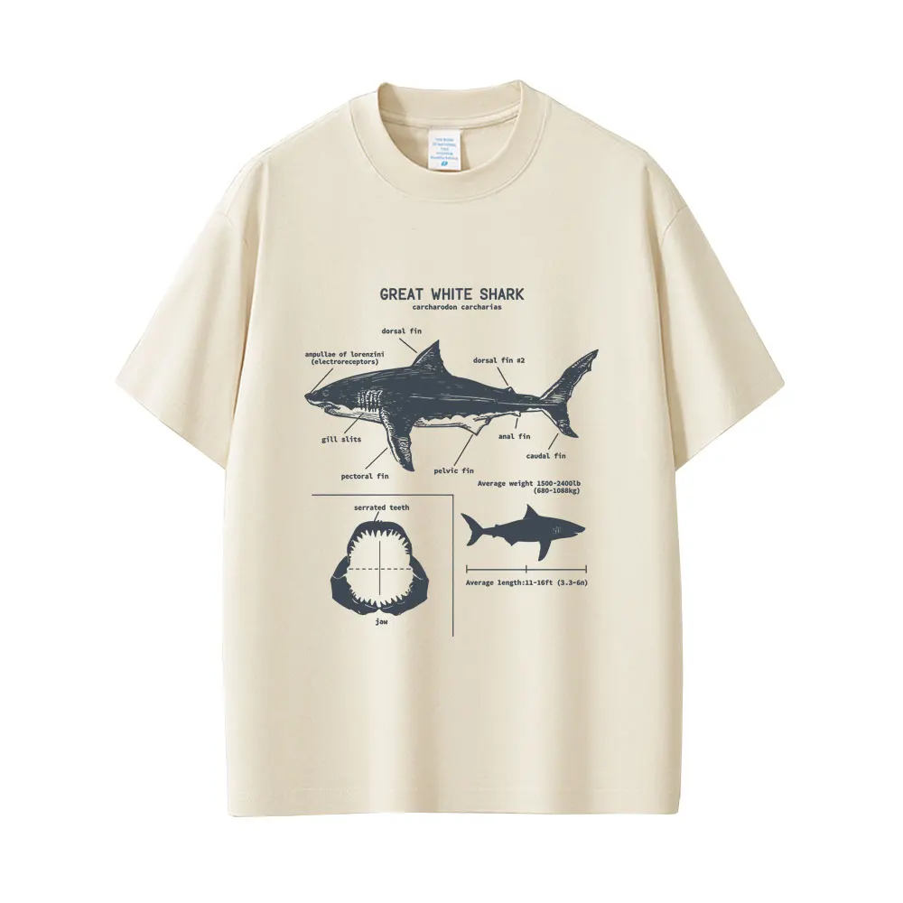Marine Animals Great White Shark Anatomy Graphic T-shirt Men Women Casual Oversized Streetwear Men's Fashion Vintage T Shirts
Marine Animals Great White Shark Anatomy Graphic T-shirt Men Women Casual Oversized Streetwear Men's Fashion Vintage T Shirts