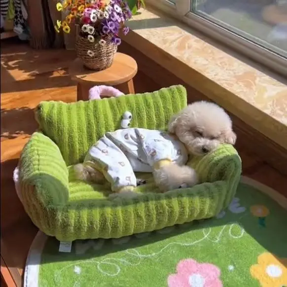 Dog House Cartoon Big Eye Striped Sofa Modeling Macaron Pet Small and Medium-sized Dog Cat General Soft and Comfortable
Dog House Cartoon Big Eye Striped Sofa Modeling Macaron Pet Small and Medium-sized Dog Cat General Soft and Comfortable