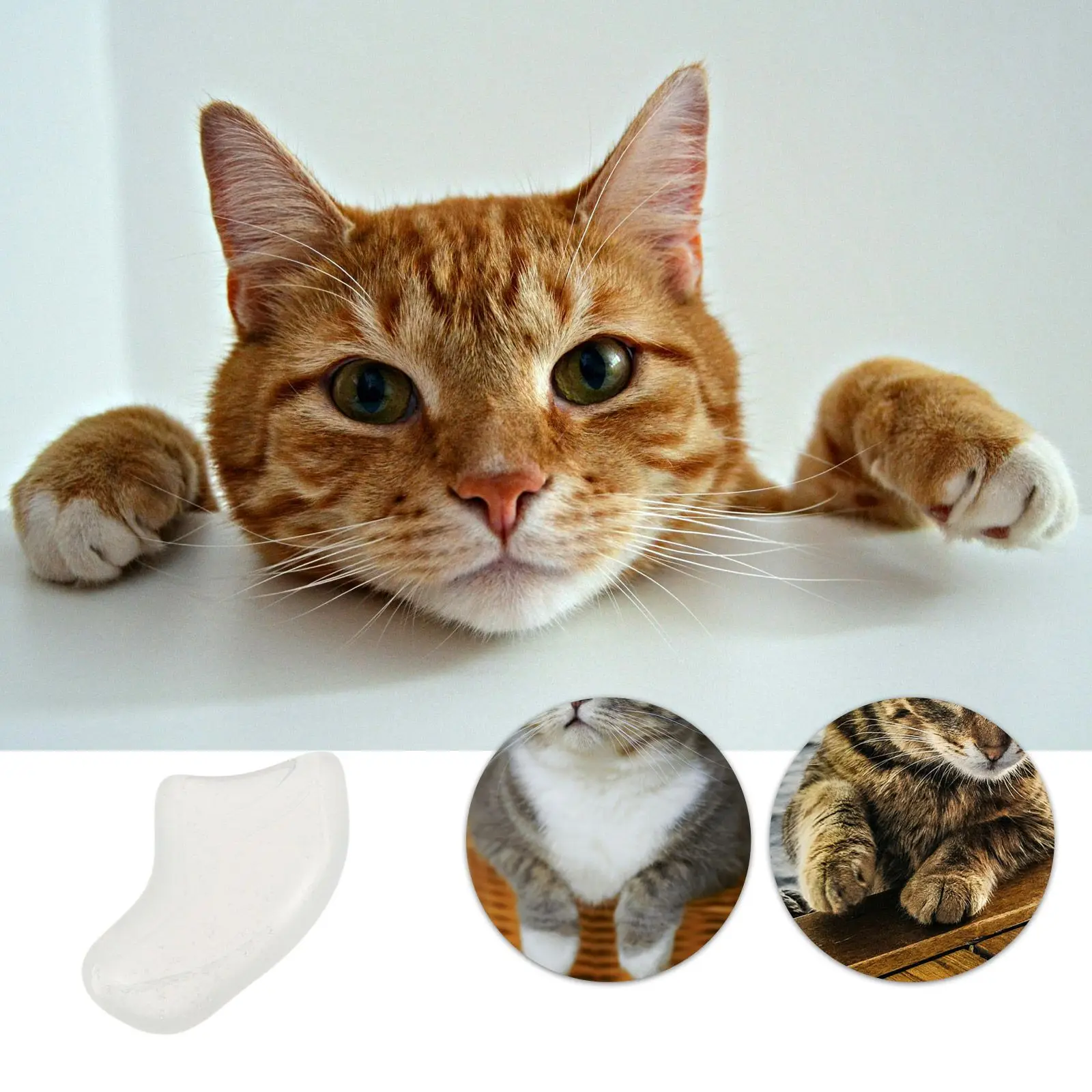 20 Pcs Cat Nail Kit Kitten Claw Caps for Cats Scratching Fingernail Covers Small
20 Pcs Cat Nail Kit Kitten Claw Caps for Cats Scratching Fingernail Covers Small