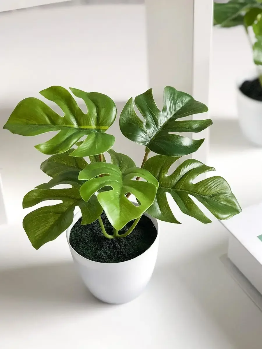 Artificial Potted Tropical Leaf, Simple Plastic Fake Potted Tropical Leaf For Home Decoration,Fake Plants,Fall Decor,Room,Desk
Artificial Potted Tropical Leaf, Simple Plastic Fake Potted Tropical Leaf For Home Decoration,Fake Plants,Fall Decor,Room,Desk