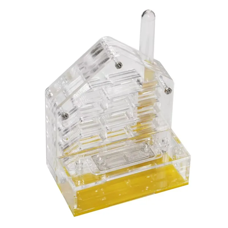 Маленький акриловый террариум для разведения муравьев, домик-гнездо для муравьев
Маленький акриловый террариум для разведения муравьев, домик-гнездо для муравьев