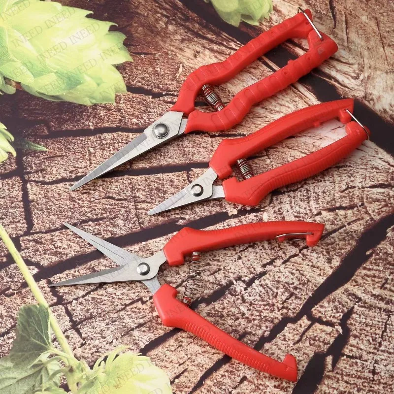 Horticultural Hand Scissors Fruit Tree Scissors Stainless Steel Pruning Artifacts Flower Scissors Garden Tools
Horticultural Hand Scissors Fruit Tree Scissors Stainless Steel Pruning Artifacts Flower Scissors Garden Tools