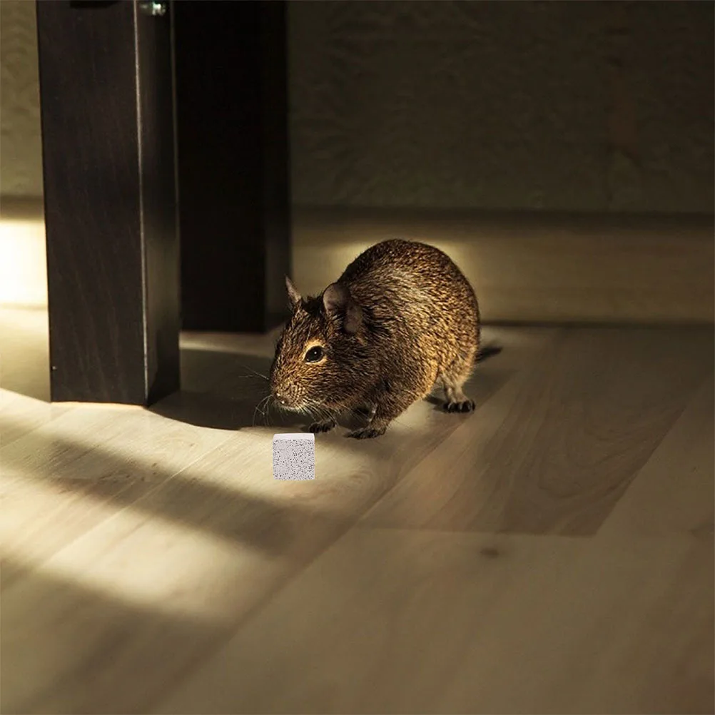 15Pcs Molar Stones Natural Chewing Blocks for Hamster Guinea Pig Bunny Chinchilla Promote Teeth Growth Prevent Obesity Small
15Pcs Molar Stones Natural Chewing Blocks for Hamster Guinea Pig Bunny Chinchilla Promote Teeth Growth Prevent Obesity Small