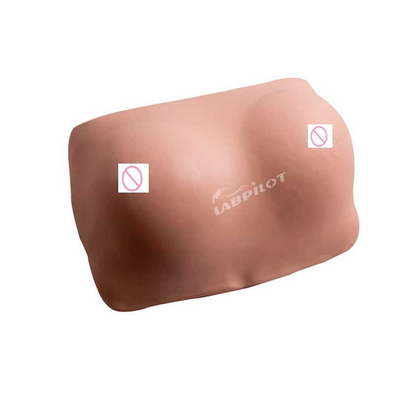 Breast Examination Practice Simulator Breast Tumor Simulation Nursing Training Practice Model
Breast Examination Practice Simulator Breast Tumor Simulation Nursing Training Practice Model