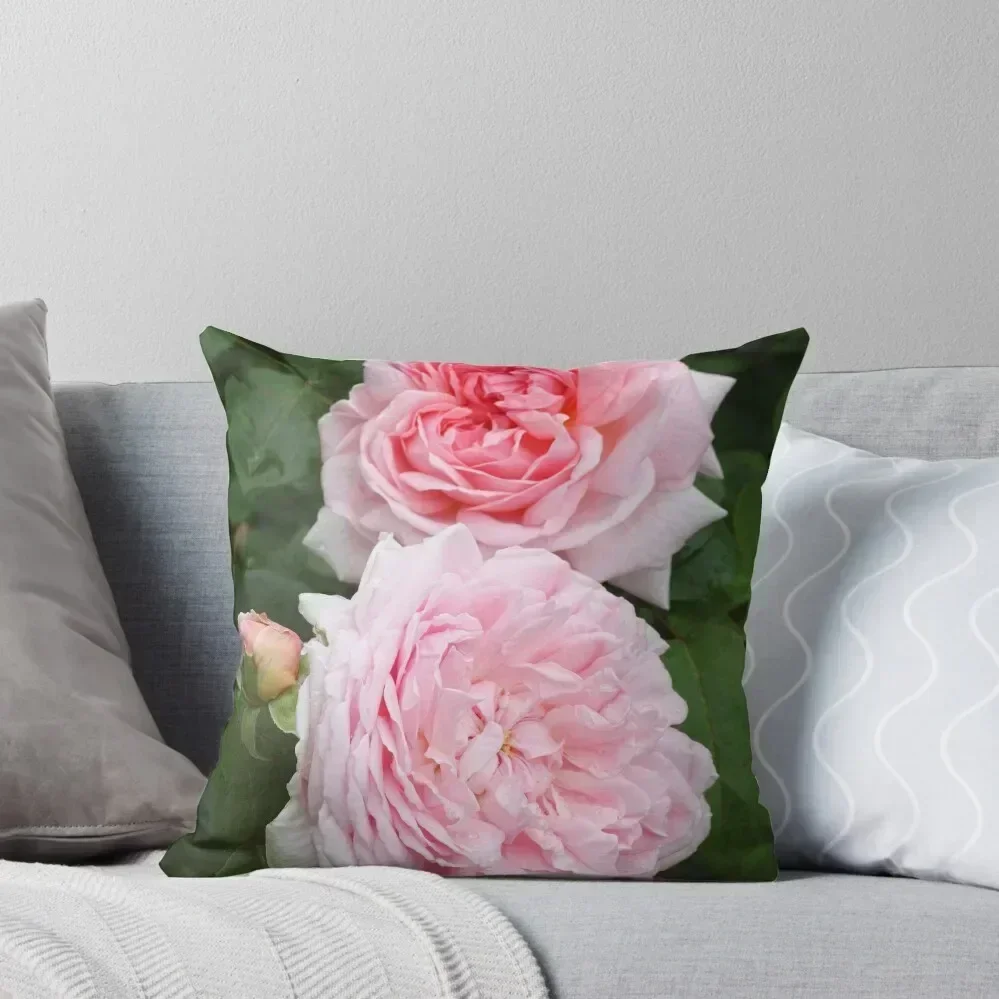 English Rose - Eglantyne Throw Pillow Cushion Covers For Living Room Luxury Pillow Cover Decorative Cushions Pillow Decor
English Rose - Eglantyne Throw Pillow Cushion Covers For Living Room Luxury Pillow Cover Decorative Cushions Pillow Decor