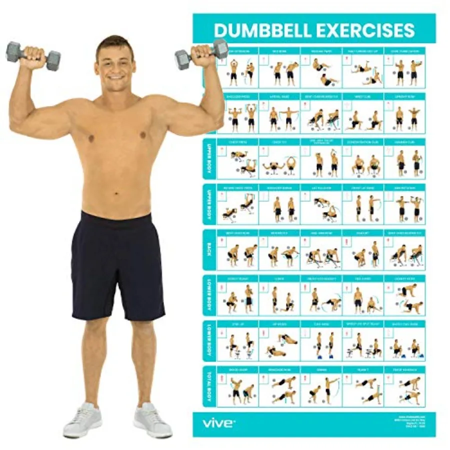 Dumbbell Workout Poster - Home Gym Exercise for Upper, Lower, Full Body - Laminated Bodyweight Chart for Back, Arm, Core and Le
Dumbbell Workout Poster - Home Gym Exercise for Upper, Lower, Full Body - Laminated Bodyweight Chart for Back, Arm, Core and Le