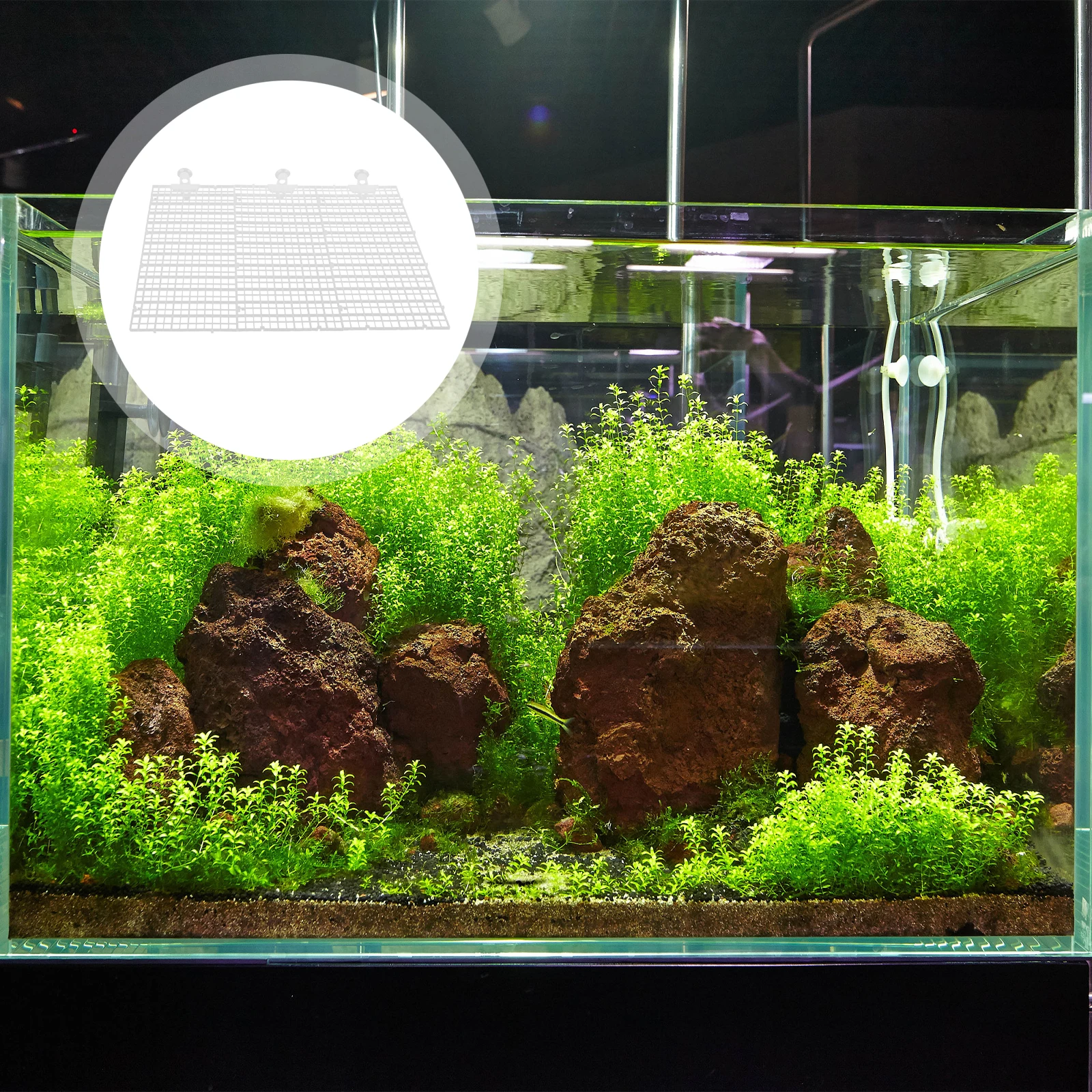 Fish Tank Divider Tanks Root Aquarium Accessories Dividers Isolation Grid Plate Tools Tray
Fish Tank Divider Tanks Root Aquarium Accessories Dividers Isolation Grid Plate Tools Tray