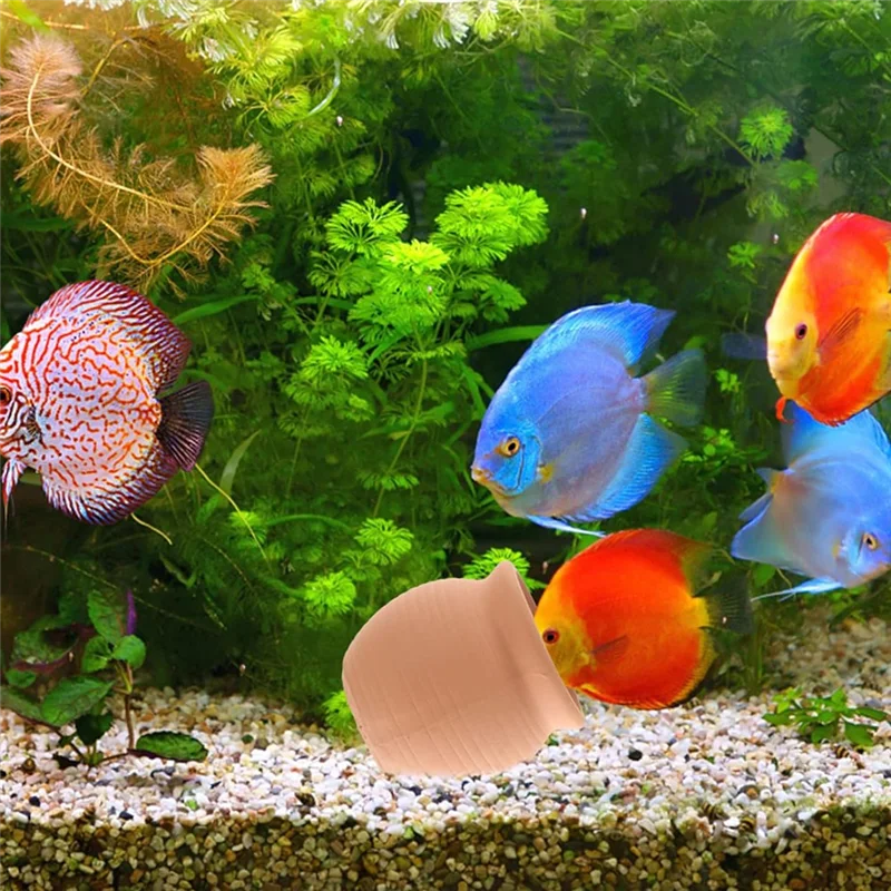 Landscaping Aquarium Shelter Fish Tank Shelter Aquarium Decoration Fish Tank 4Pcs
Landscaping Aquarium Shelter Fish Tank Shelter Aquarium Decoration Fish Tank 4Pcs