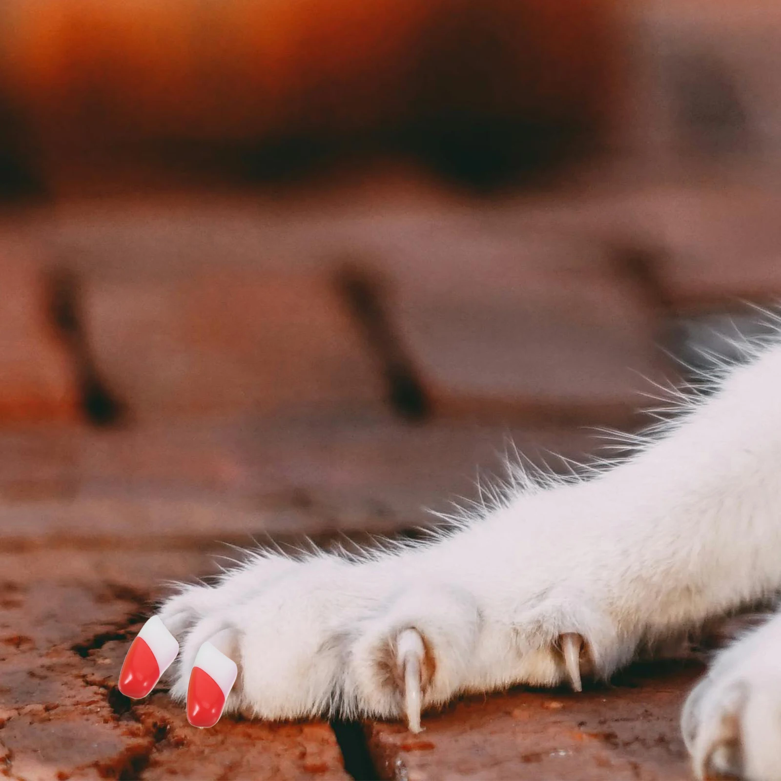 140pcs Pet Durable Cat Claw Covers Furniture Protector Natural Comfortable Gift For Cat Owners Size L Included 
140pcs Pet Durable Cat Claw Covers Furniture Protector Natural Comfortable Gift For Cat Owners Size L Included