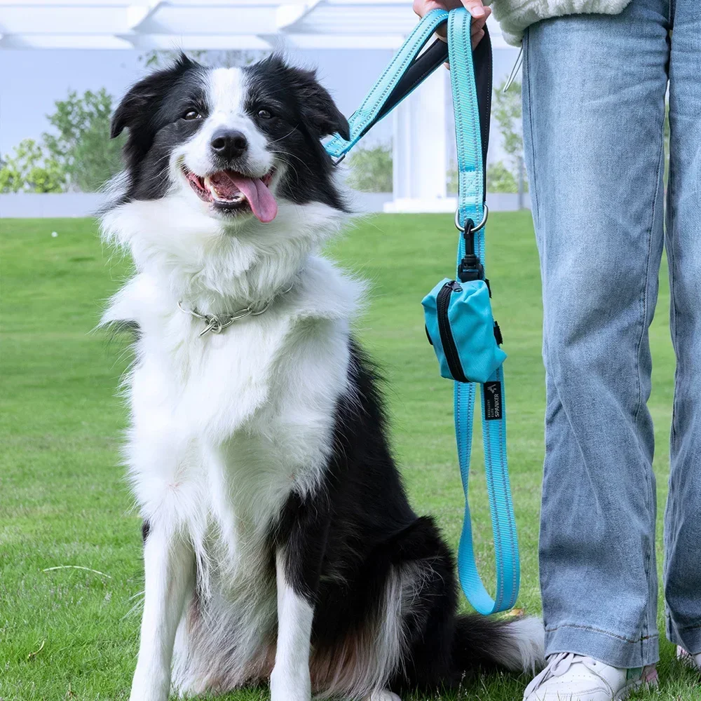 Поводок для собак для прогулок на улице и дрессировки с сумкой для корма, сверхпрочный, эластичный, с ручкой, регулируемый, безопасный тренировочный поводок
Поводок для собак для прогулок на улице и дрессировки с сумкой для корма, сверхпрочный, эластичный, с ручкой, регулируемый, безопасный тренировочный поводок