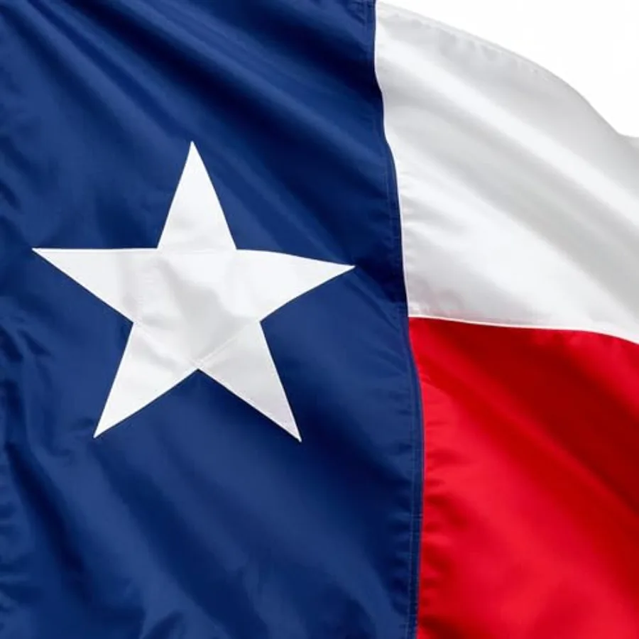 Texas Flag 3x5 Heavy Duty Outdoor Proudly Made in USA, Sewn State Flag with Durable Construction for Outdoor Display, Weather-R
Texas Flag 3x5 Heavy Duty Outdoor Proudly Made in USA, Sewn State Flag with Durable Construction for Outdoor Display, Weather-R