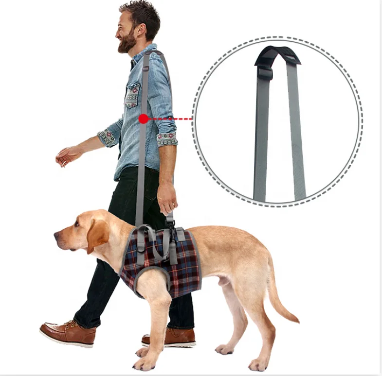 Adjustable Breathable Straps Dog Support Harness for Front Legs and Hind Legs Pet Rehabilitation Lifts Vest Dog Sling Kit
Adjustable Breathable Straps Dog Support Harness for Front Legs and Hind Legs Pet Rehabilitation Lifts Vest Dog Sling Kit