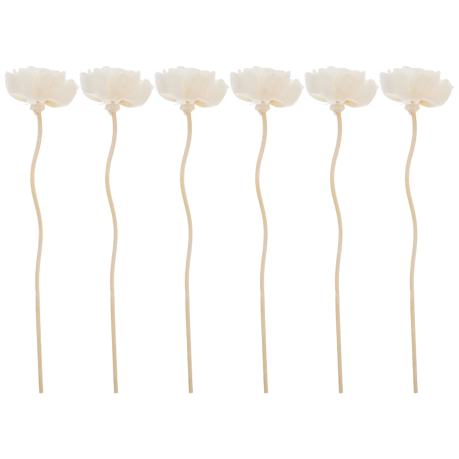 6Pcs Reed Diffuser Sticks Flower Refill Rattan Reeds Essential Oil Scent Diffuser Home Fragrance Fragrance
6Pcs Reed Diffuser Sticks Flower Refill Rattan Reeds Essential Oil Scent Diffuser Home Fragrance Fragrance