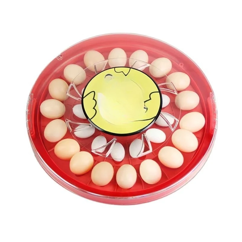Fully Automatic Incubator Hatching Eggs Machine Chicken Egg Incubators for 30 Eggs
Fully Automatic Incubator Hatching Eggs Machine Chicken Egg Incubators for 30 Eggs