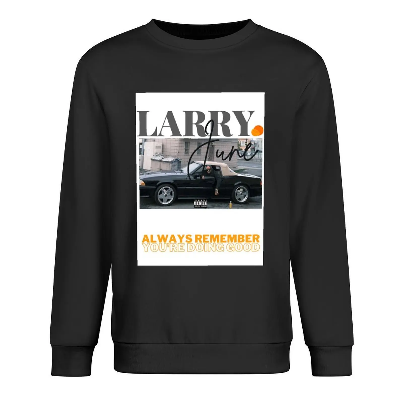 LARRY JUNE INSPIRED Pullover autumn jacket men korean style clothes male clothes mens clothing autumn sweatshirt
LARRY JUNE INSPIRED Pullover autumn jacket men korean style clothes male clothes mens clothing autumn sweatshirt