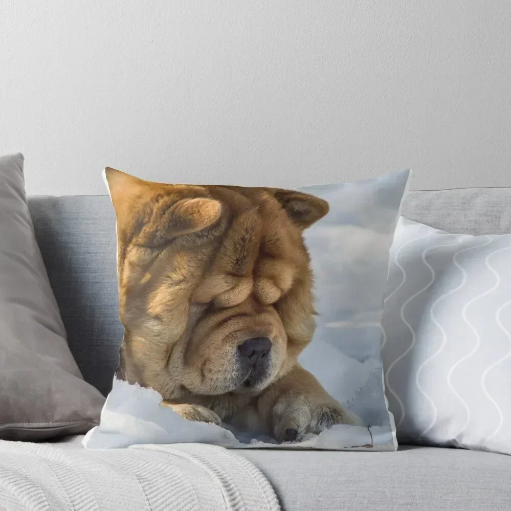 Chow-Chow watchdog Throw Pillow Cushion Cover Set bed pillows Custom Cushion Photo pillow
Chow-Chow watchdog Throw Pillow Cushion Cover Set bed pillows Custom Cushion Photo pillow