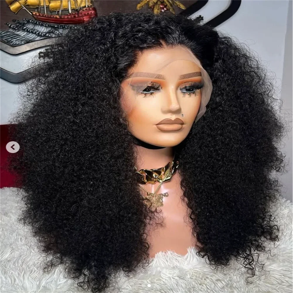 Natural Black Glueless Soft 26Inch Long Kinky Curly Lace Front Wig For Women With Baby Hair Synthetic Preplucked Glueless Daily
Natural Black Glueless Soft 26Inch Long Kinky Curly Lace Front Wig For Women With Baby Hair Synthetic Preplucked Glueless Daily