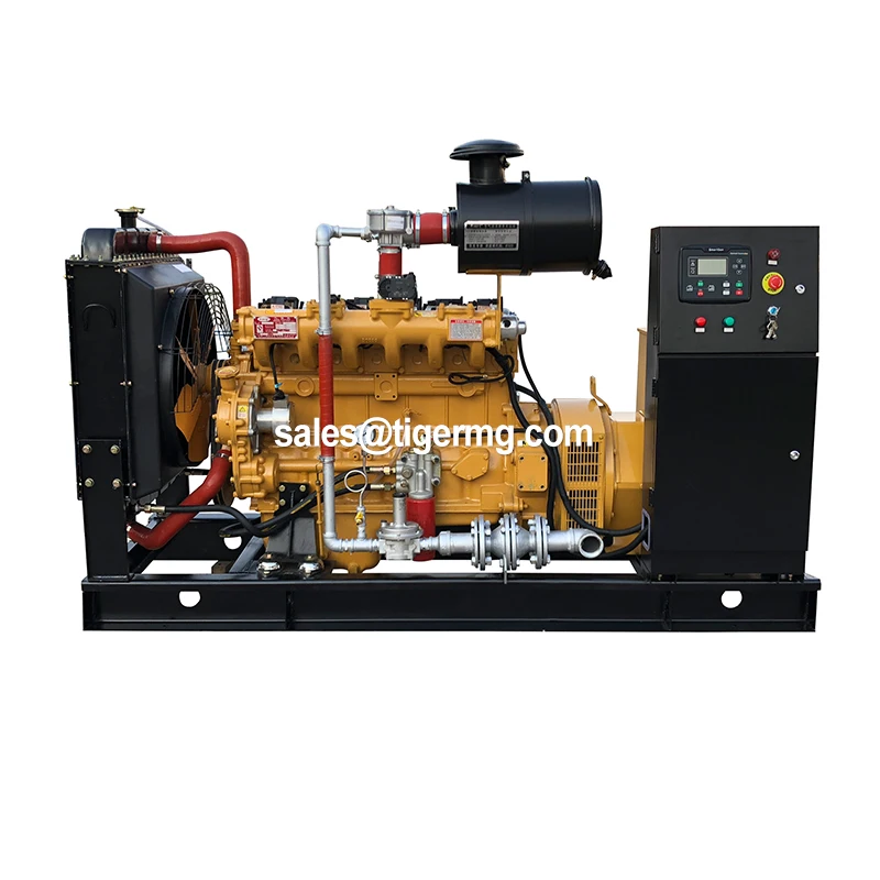 Good Price Gas Engine Power Generators Biogas LPG Biomass Syngas 12kw - 500 KW Natural Gas Generator
Good Price Gas Engine Power Generators Biogas LPG Biomass Syngas 12kw - 500 KW Natural Gas Generator