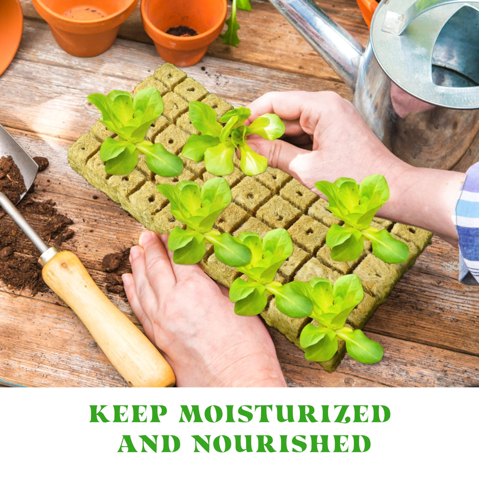 100 шт., блоки для детского почвы, стартовые пробки для выращивания, компрессионные природные почвы, садовые принадлежности для пересадки рассады и растений
100 шт., блоки для детского почвы, стартовые пробки для выращивания, компрессионные природные почвы, садовые принадлежности для пересадки рассады и растений