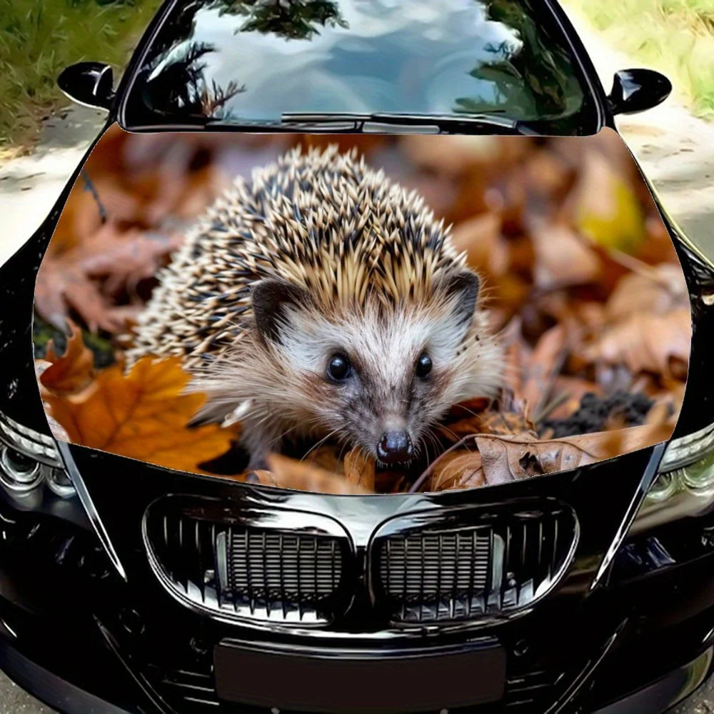 Hedgehogs Forage for Food Print Car Hood Decal Sticker, General Motors Racing Car Body Vinyl Modification External Decoration Ac
Hedgehogs Forage for Food Print Car Hood Decal Sticker, General Motors Racing Car Body Vinyl Modification External Decoration Ac