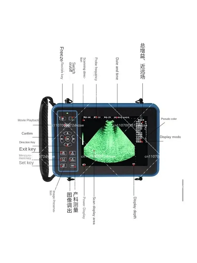 Veterinary B-Scan Ultrasound Scanner for Pregnancy Test Detects in Farm Animals - Pig Sheep Dog Cat Pet Care Equipment
Veterinary B-Scan Ultrasound Scanner for Pregnancy Test Detects in Farm Animals - Pig Sheep Dog Cat Pet Care Equipment