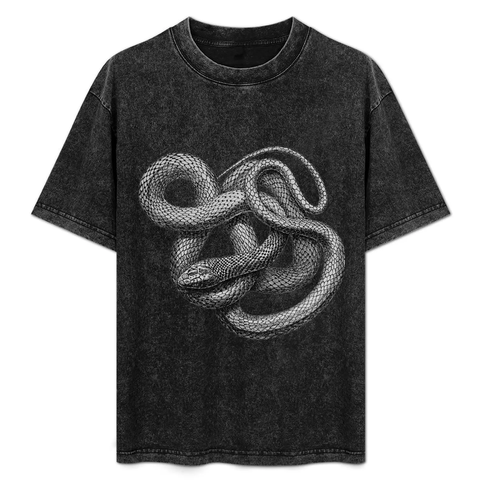 Large Snake T-Shirt Simple Casual Short Sleeve Cotton T-Shirt
Large Snake T-Shirt Simple Casual Short Sleeve Cotton T-Shirt
