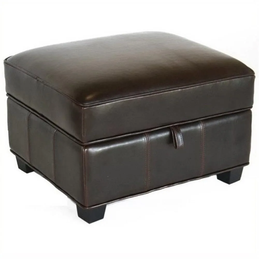 Square Faux Leather Storage Ottoman, Dark Brown Finish, 25" W x 22" D x 17" H, Kiln-Dried Hardwood Frame, Lift-Top, Customized
Square Faux Leather Storage Ottoman, Dark Brown Finish, 25" W x 22" D x 17" H, Kiln-Dried Hardwood Frame, Lift-Top, Customized