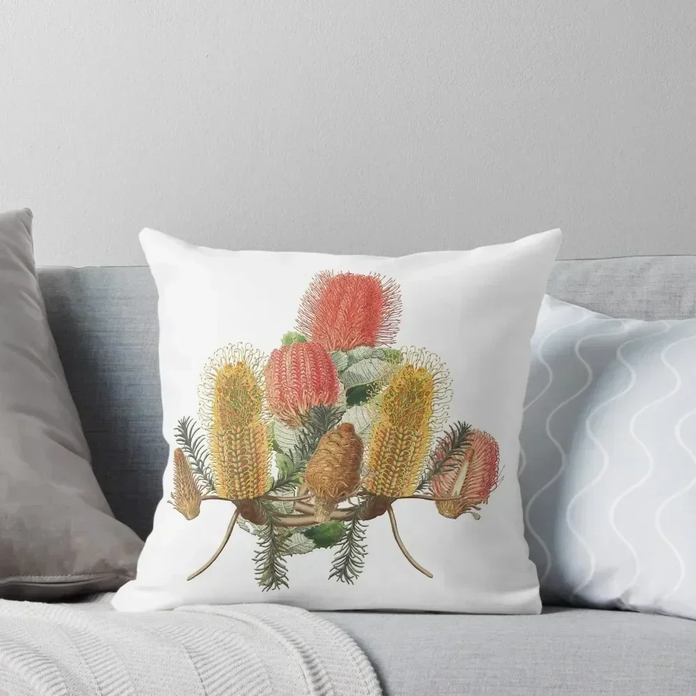 Red and Yellow Banksia bunch Throw Pillow Custom Cushion Photo Cushion Cover For Sofa pillow cover christmas pillow
Red and Yellow Banksia bunch Throw Pillow Custom Cushion Photo Cushion Cover For Sofa pillow cover christmas pillow