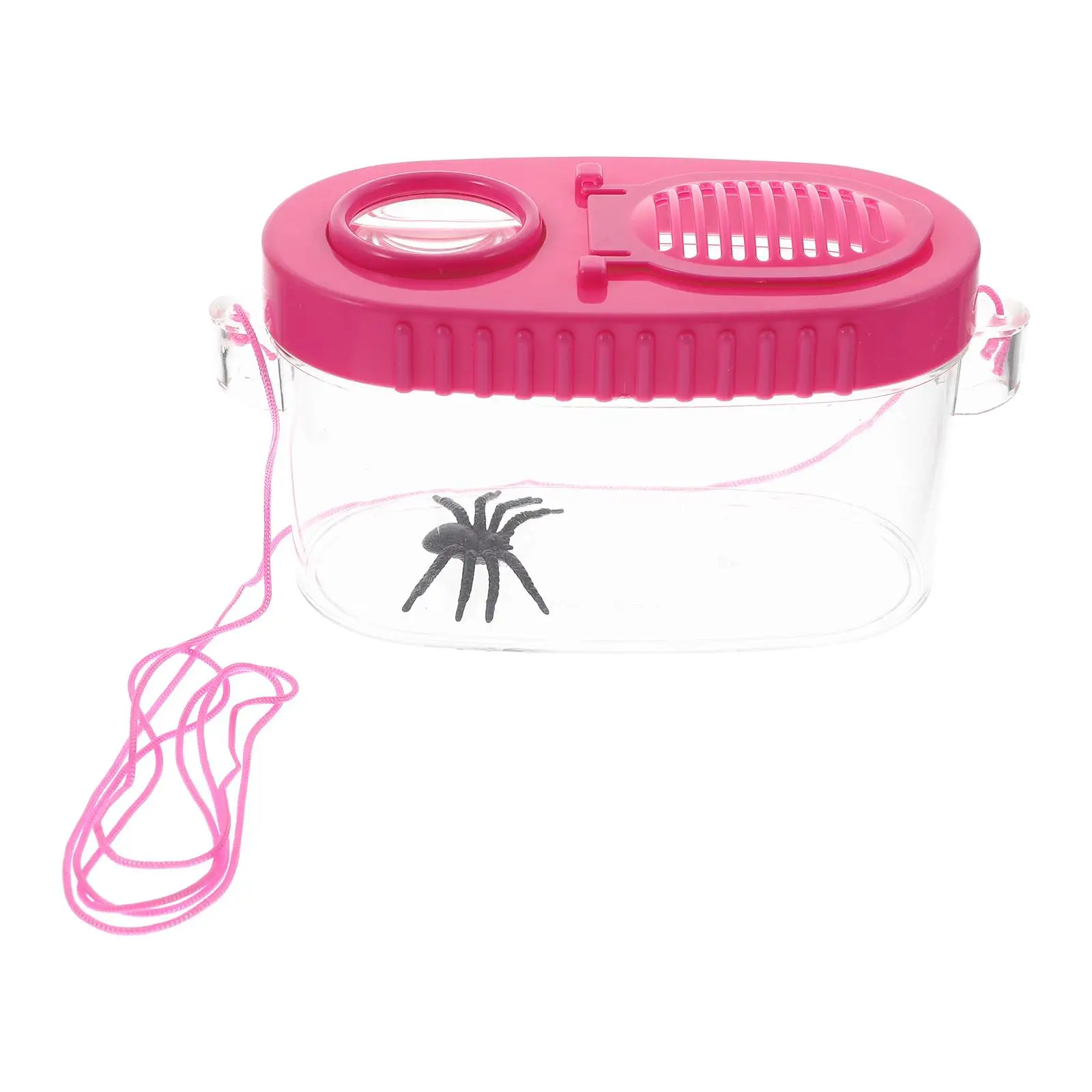 Insect Viewer High Transparency Portable Plastic Breathing Containers Kids Critter Boxes Insect Supply Toys
Insect Viewer High Transparency Portable Plastic Breathing Containers Kids Critter Boxes Insect Supply Toys