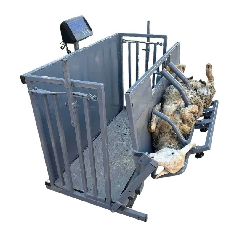 Versatile Sheep Goat Spin Chute Restrainer Farm Animal Breeding Shearing Equipment New Galvanized Steel Manual
Versatile Sheep Goat Spin Chute Restrainer Farm Animal Breeding Shearing Equipment New Galvanized Steel Manual