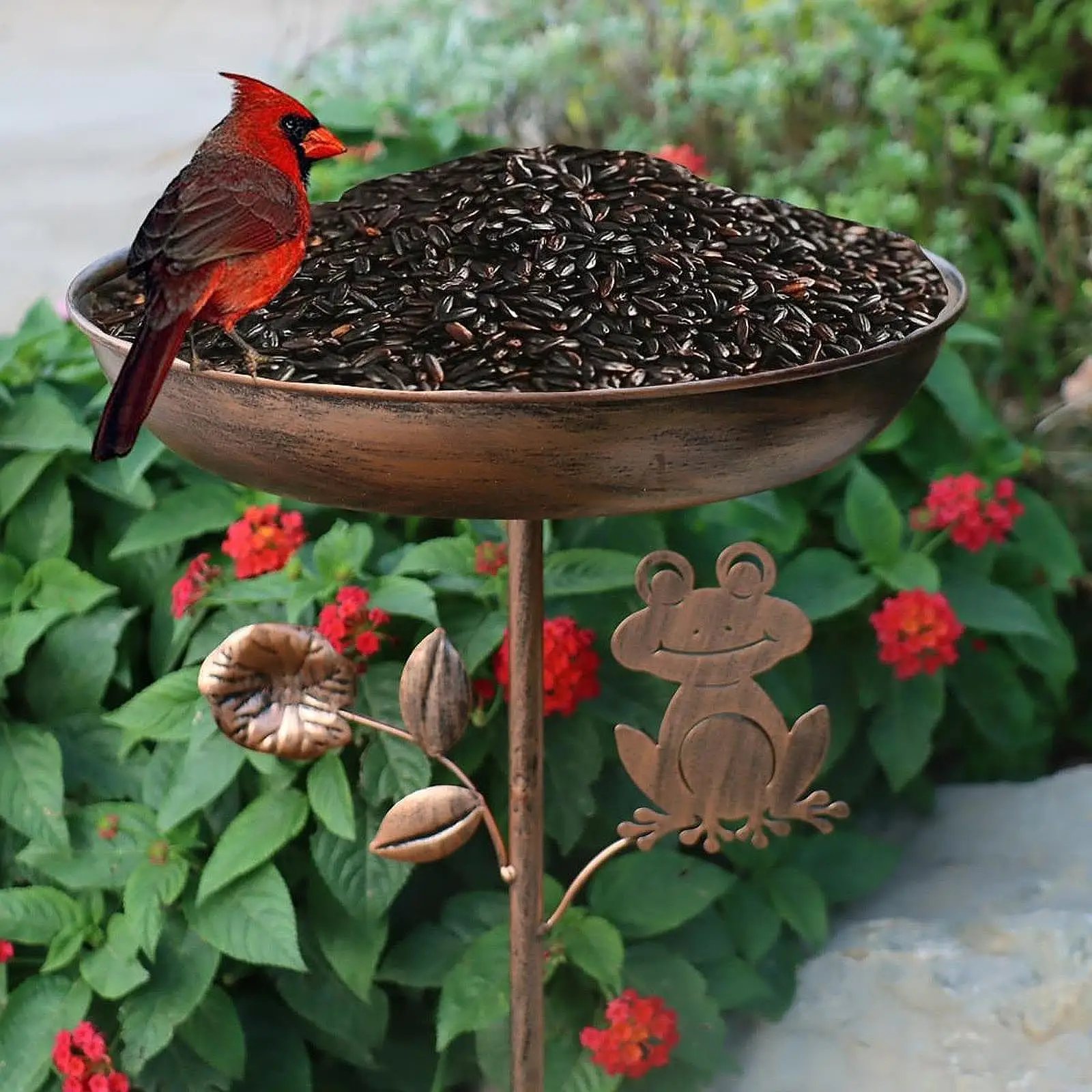 Bird Bath Decorative Tray Lightweight Gift Birdfeeder for Outside Yard Porch
Bird Bath Decorative Tray Lightweight Gift Birdfeeder for Outside Yard Porch