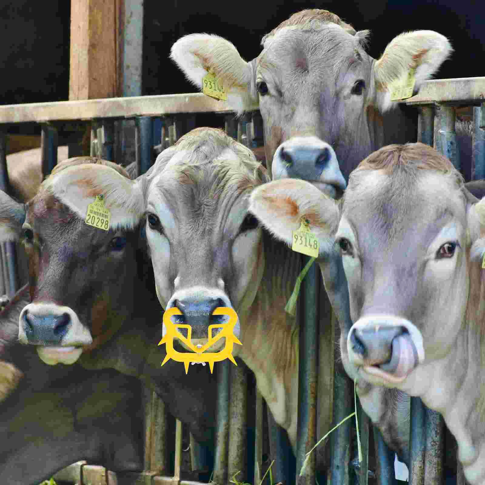 10 Pcs Calf Weaner Cow Nose Farm Equipment Rings Cattle Clip Abs Supplies Livestock Supply
10 Pcs Calf Weaner Cow Nose Farm Equipment Rings Cattle Clip Abs Supplies Livestock Supply