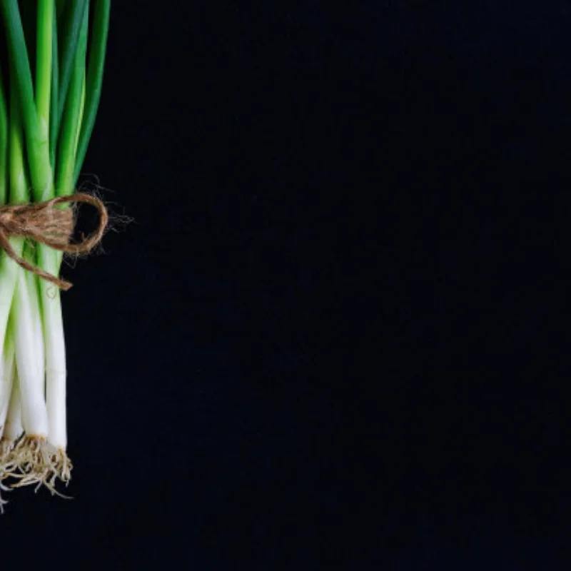 8T 14T 19T 21T 27T 35T 45T 55T 540 3-Slot Brushed Motor For RC 1/10 Crawler Axial SCX10 AXI03007 90046 Redcat D90 CC01
8T 14T 19T 21T 27T 35T 45T 55T 540 3-Slot Brushed Motor For RC 1/10 Crawler Axial SCX10 AXI03007 90046 Redcat D90 CC01