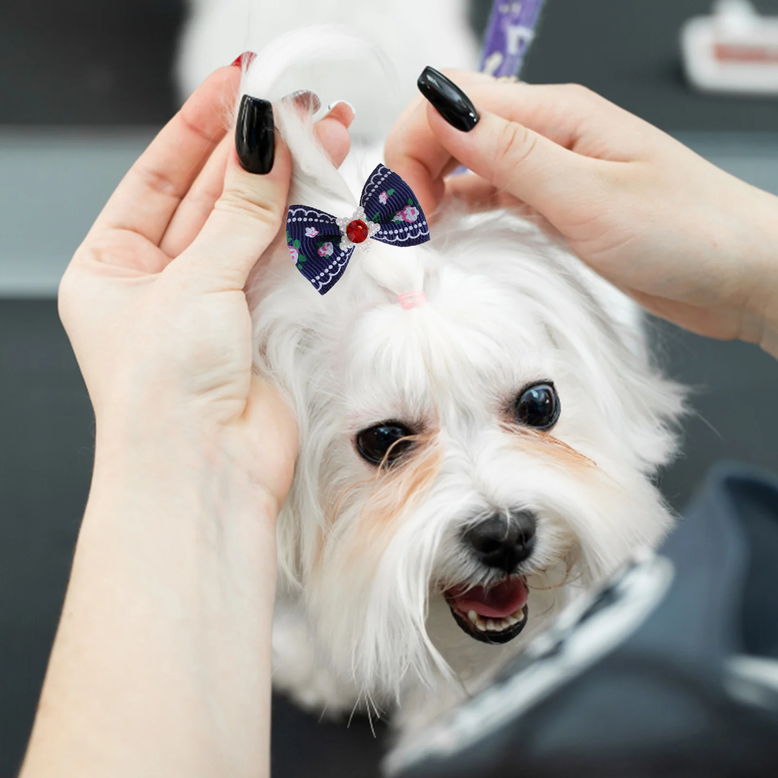 50 Pcs Pet Bow Grooming Small Dog Hair Bows for Decorative Rubber Bands Dogs Accessories Puppy Bulk
50 Pcs Pet Bow Grooming Small Dog Hair Bows for Decorative Rubber Bands Dogs Accessories Puppy Bulk