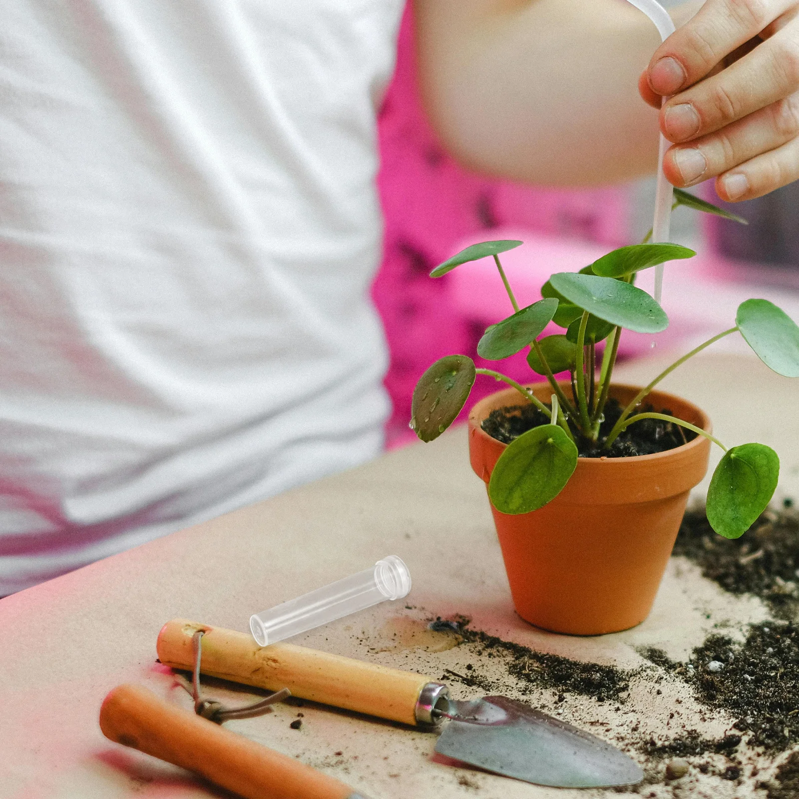 100Pcs Plastic Flower Water Tubes Sturdy Material Fresh Flower Display Home Office Garden Wedding Decor Plastic Test Tubes
100Pcs Plastic Flower Water Tubes Sturdy Material Fresh Flower Display Home Office Garden Wedding Decor Plastic Test Tubes