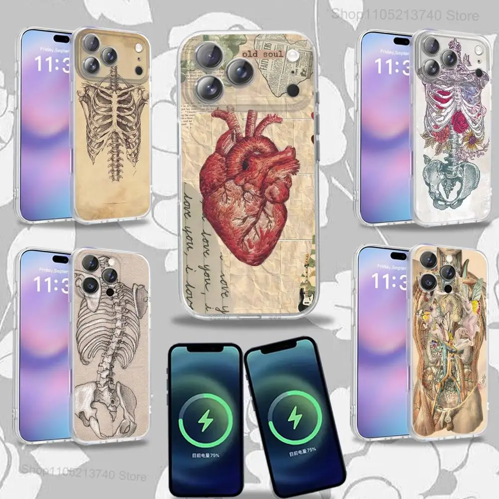 MedicalS Art Anatomy HumanS For iPhone 17,12,11,14,13,15,16,Plus,Air,Pro,Max,E,Mini for Magsafe Magnetic Frosted Phone Case
MedicalS Art Anatomy HumanS For iPhone 17,12,11,14,13,15,16,Plus,Air,Pro,Max,E,Mini for Magsafe Magnetic Frosted Phone Case
