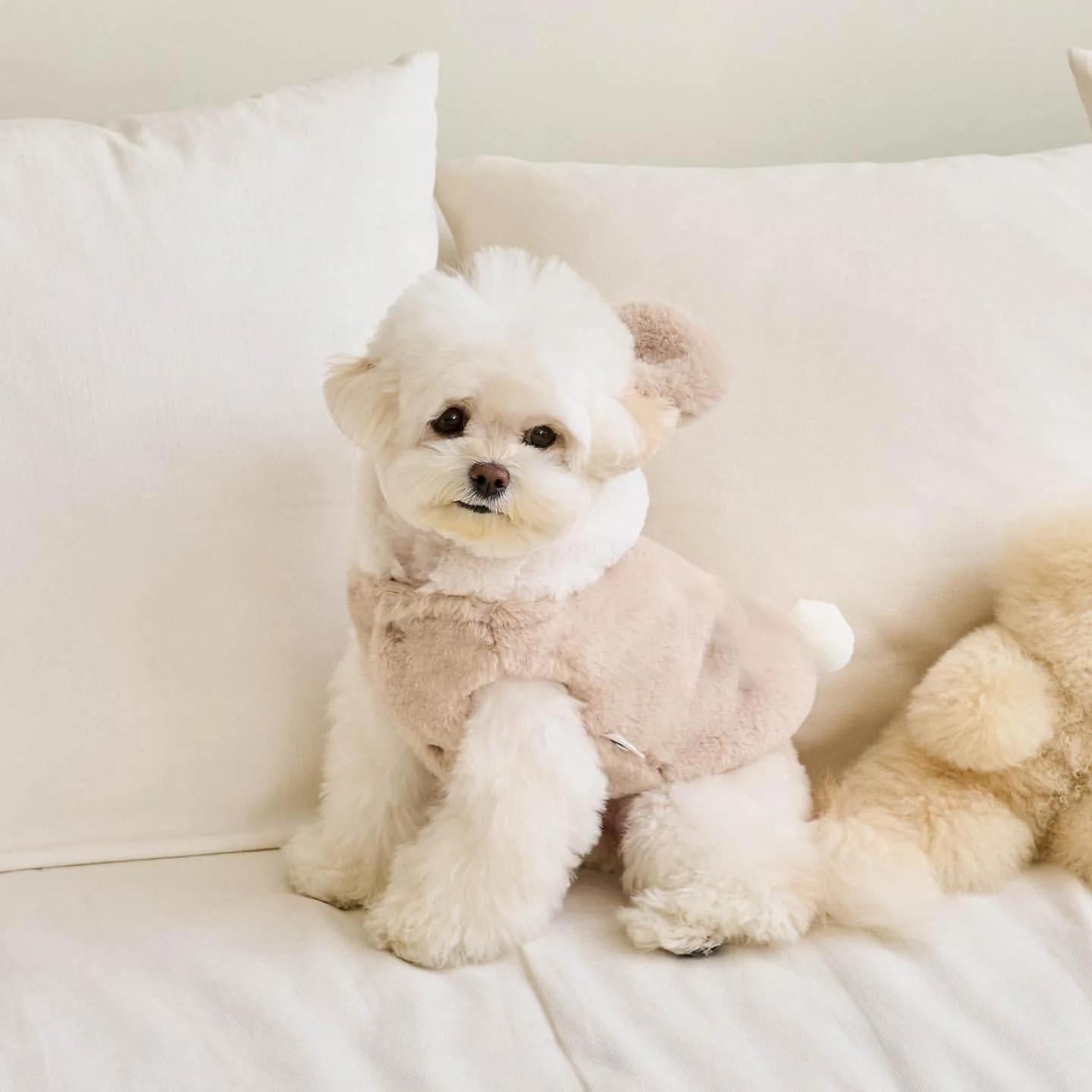 Autumn Winter New Dog & Cat Warm Coat with Leash, Bear Costume Pet Clothes for Small Dogs, Teddy & Pomeranian
Autumn Winter New Dog & Cat Warm Coat with Leash, Bear Costume Pet Clothes for Small Dogs, Teddy & Pomeranian
