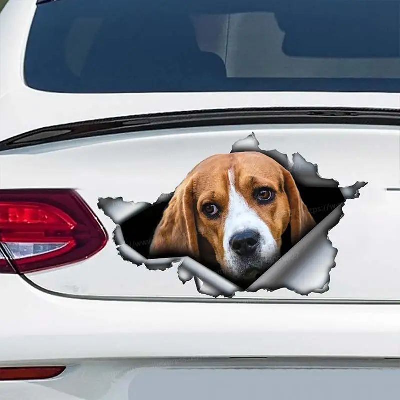 Beagle Pet Dog Car Sticker Waterproof Vinyl Decal on Bumper Rear Window Laptop Self-adhesive Decal For Car Accessories SH10
Beagle Pet Dog Car Sticker Waterproof Vinyl Decal on Bumper Rear Window Laptop Self-adhesive Decal For Car Accessories SH10