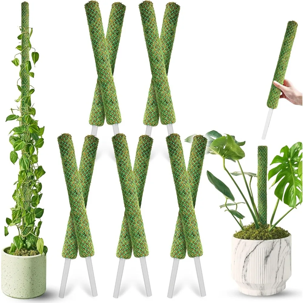 10 шт. 22-дюймовый зеленый штабелируемый столб из мха для вьющихся растений, выдвижная опора для комнатных растений с настоящим мхом
10 шт. 22-дюймовый зеленый штабелируемый столб из мха для вьющихся растений, выдвижная опора для комнатных растений с настоящим мхом