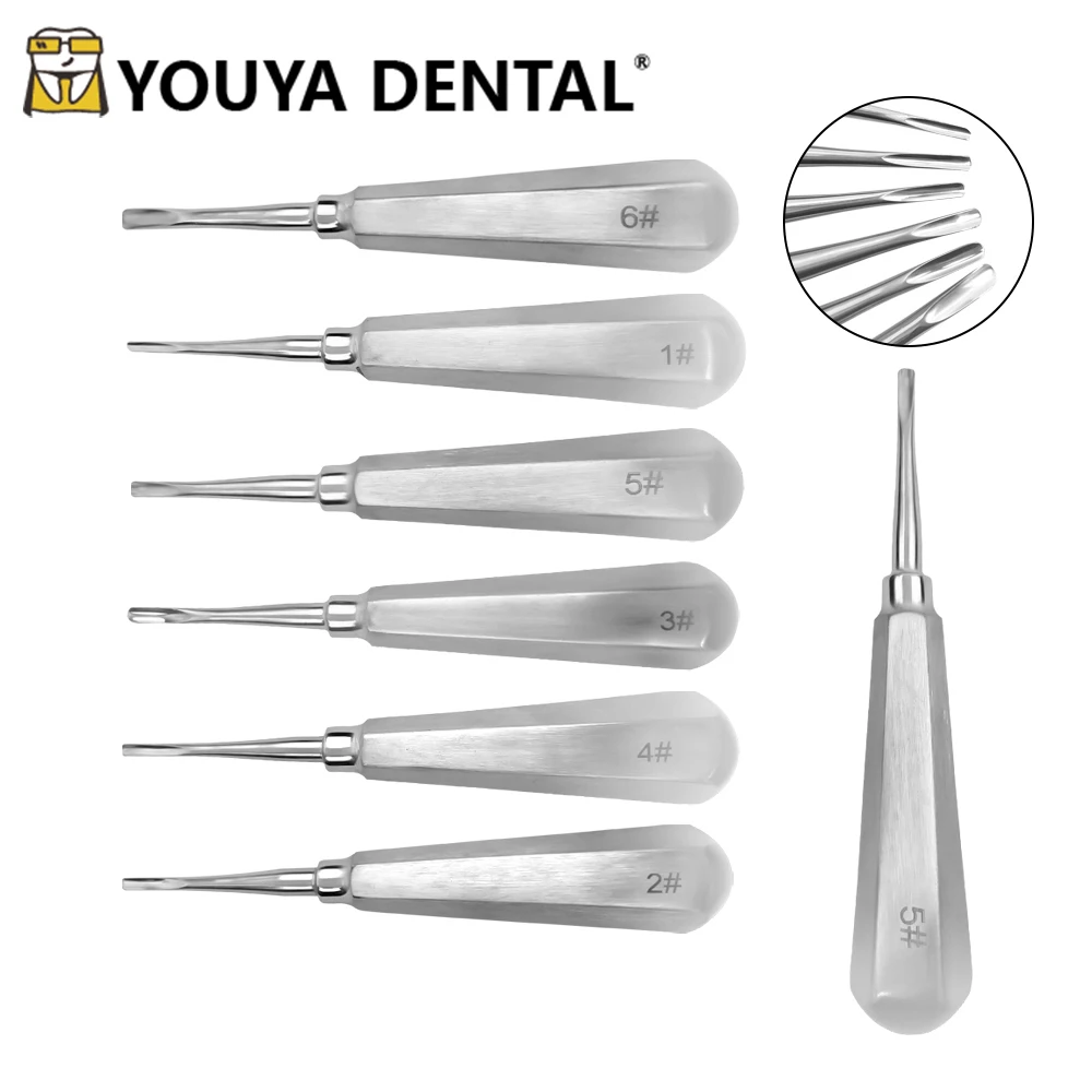 Stainless Steel Dental Elevator Dental Tooth Elevator Straight Curved Tips Root Elevator Dentist Tools
Stainless Steel Dental Elevator Dental Tooth Elevator Straight Curved Tips Root Elevator Dentist Tools