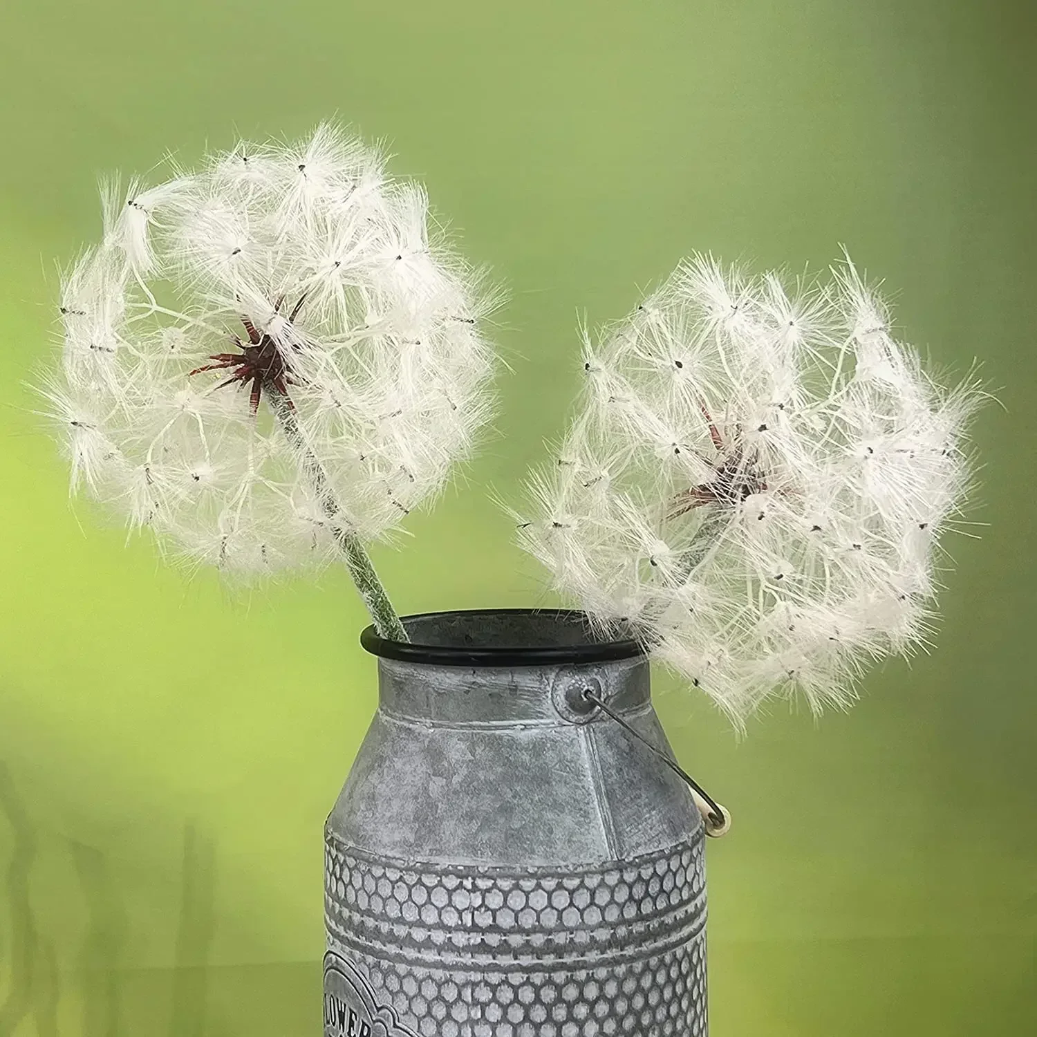 (2 Pcs)Artificial Dandelion Flower, Giant Faux Dandelion Flowers Artificial Dandelion Flowers for Decoration Floral supplies
(2 Pcs)Artificial Dandelion Flower, Giant Faux Dandelion Flowers Artificial Dandelion Flowers for Decoration Floral supplies