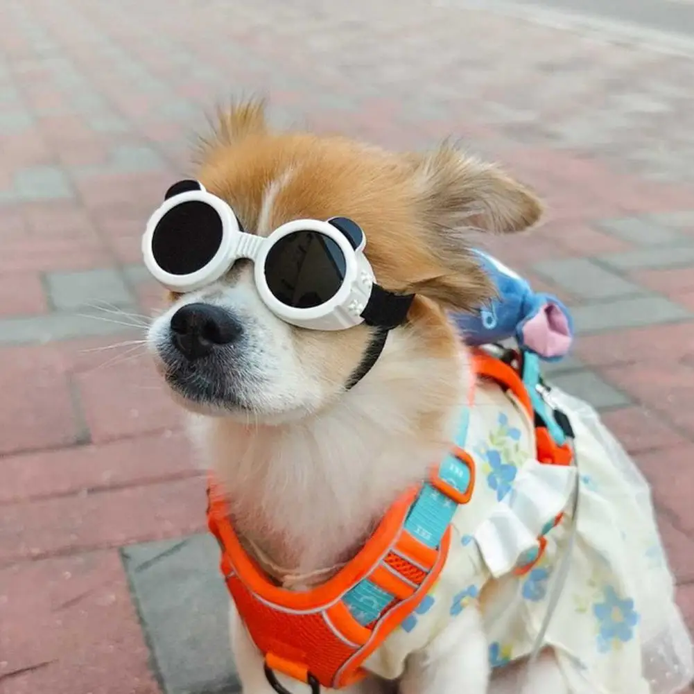 1 Pair Pet Dog Goggles UV Sunglasses Windproof Adjustable Straps Pet Sunglasses Small Medium Dogs Puppy Dog Sunglasses
1 Pair Pet Dog Goggles UV Sunglasses Windproof Adjustable Straps Pet Sunglasses Small Medium Dogs Puppy Dog Sunglasses
