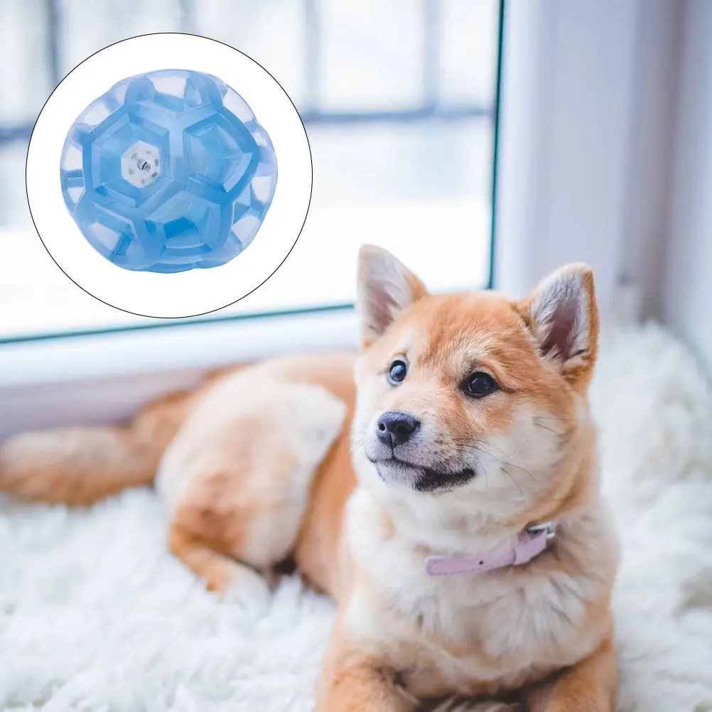 Tpr Elastic Bouncy Ball for Pet Dog Interactive Chewing Playing Fun Repairing Teeth Entertainment Pet Dog Bouncy Ball
Tpr Elastic Bouncy Ball for Pet Dog Interactive Chewing Playing Fun Repairing Teeth Entertainment Pet Dog Bouncy Ball